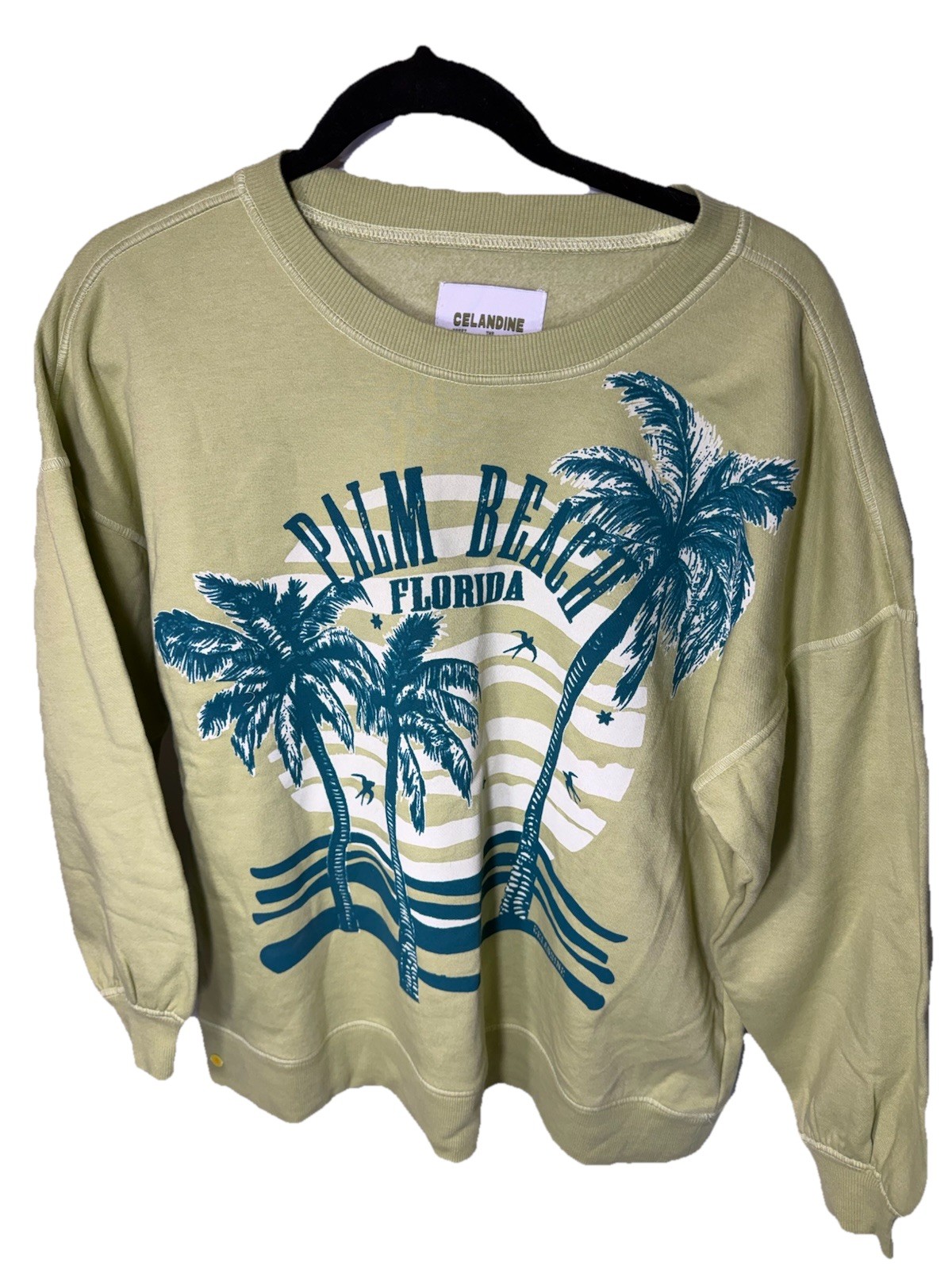Celandine Anthropologie Graphic Cotton Sweatshirt OVERSIZED Light Green NWT XS