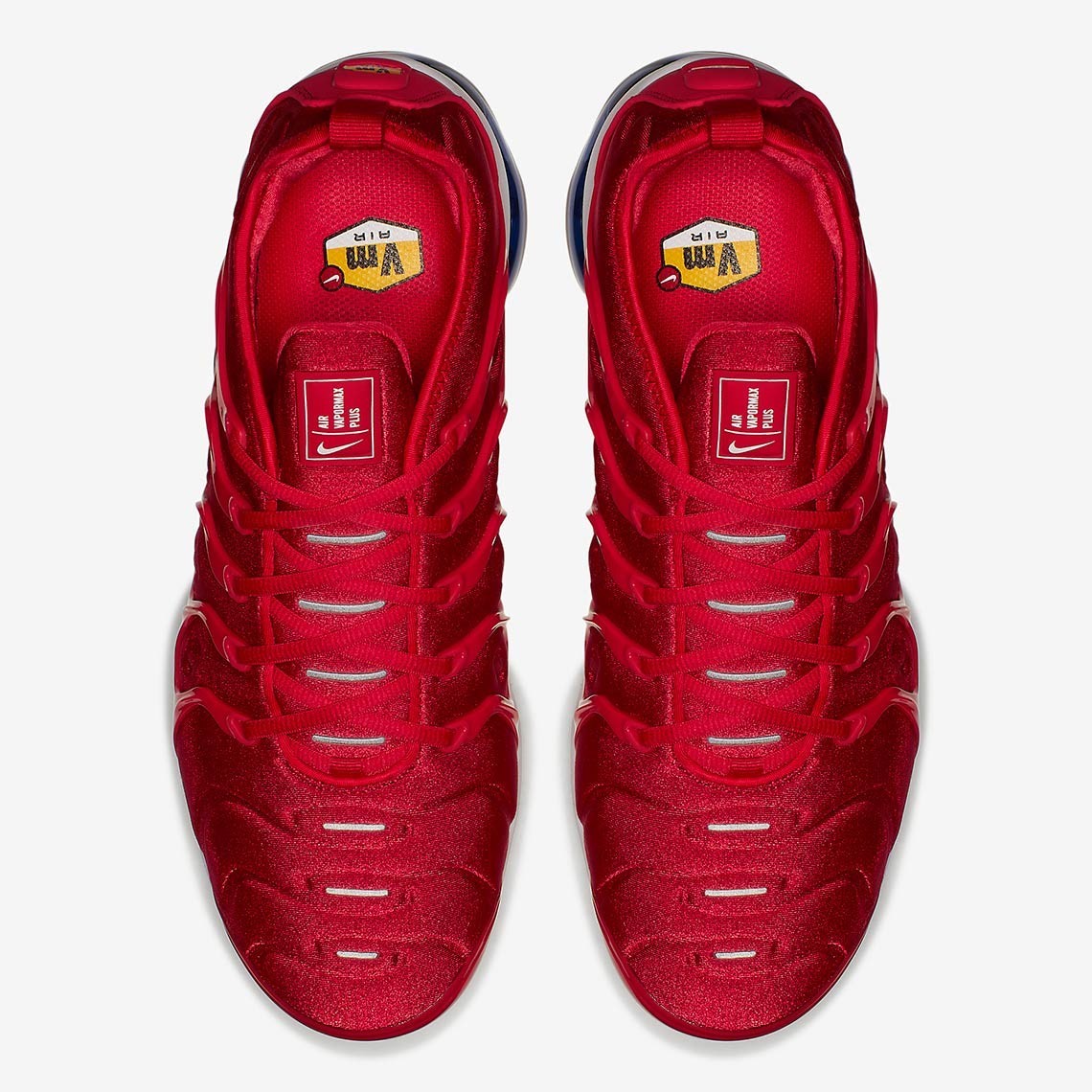 Nike Air VaporMax Plus Tn Red Blue Men’s shoes Free Shipping