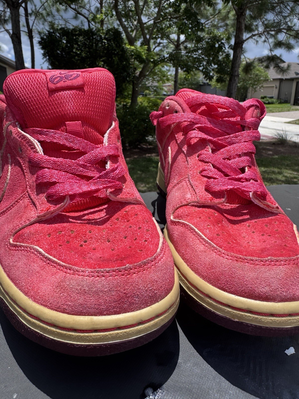 Nike Dunk Low 6.0 Red Suede 314141-614 Women’s 9.5 / Men’s 8 Vintage Skate