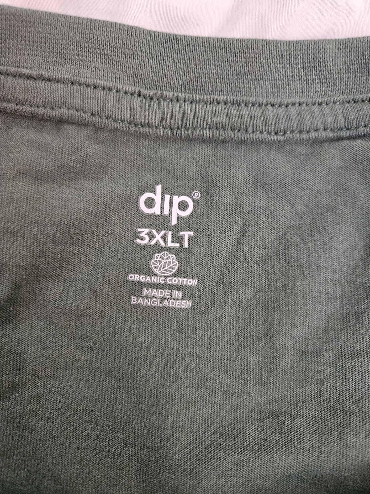 dip Pine Cone Graphic T Shirt Mens 3XLT Green Organic Cotton Big Tall