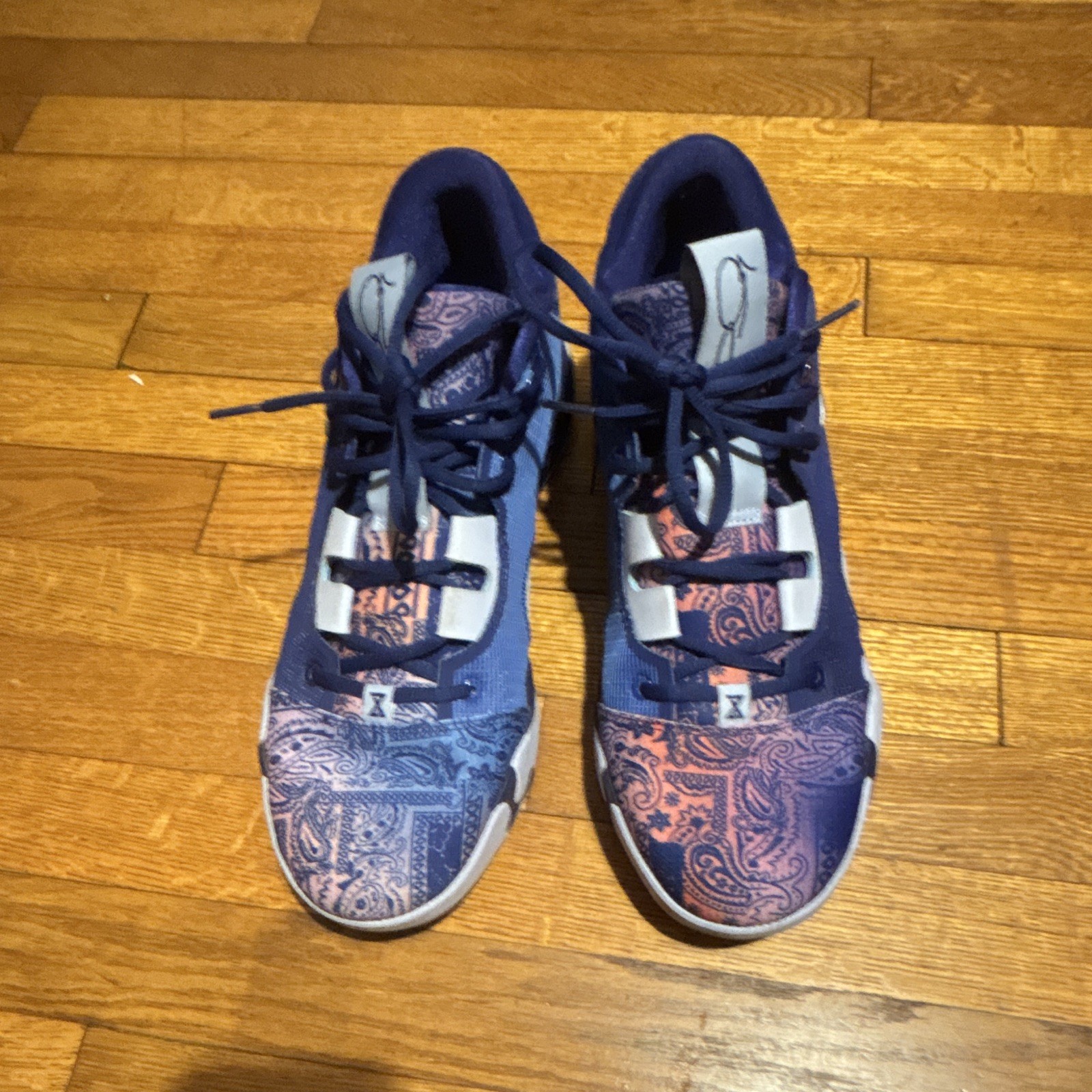 Nike PG6 Blue Paisley Size 12.5