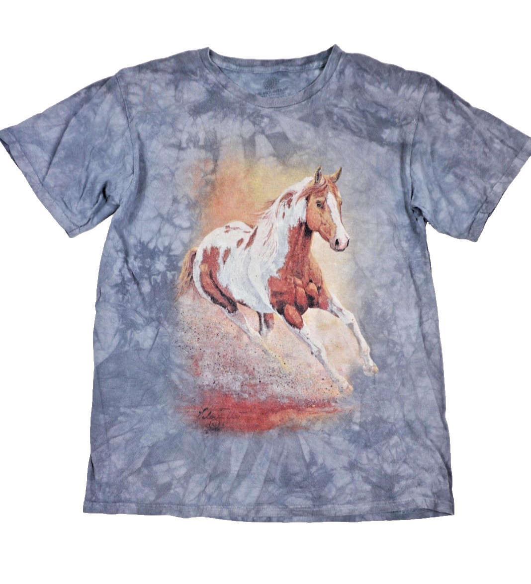 The Mountain Horse T Shirt Mens Large Tie Dye Graphic Animal Vintage Y2K Tee