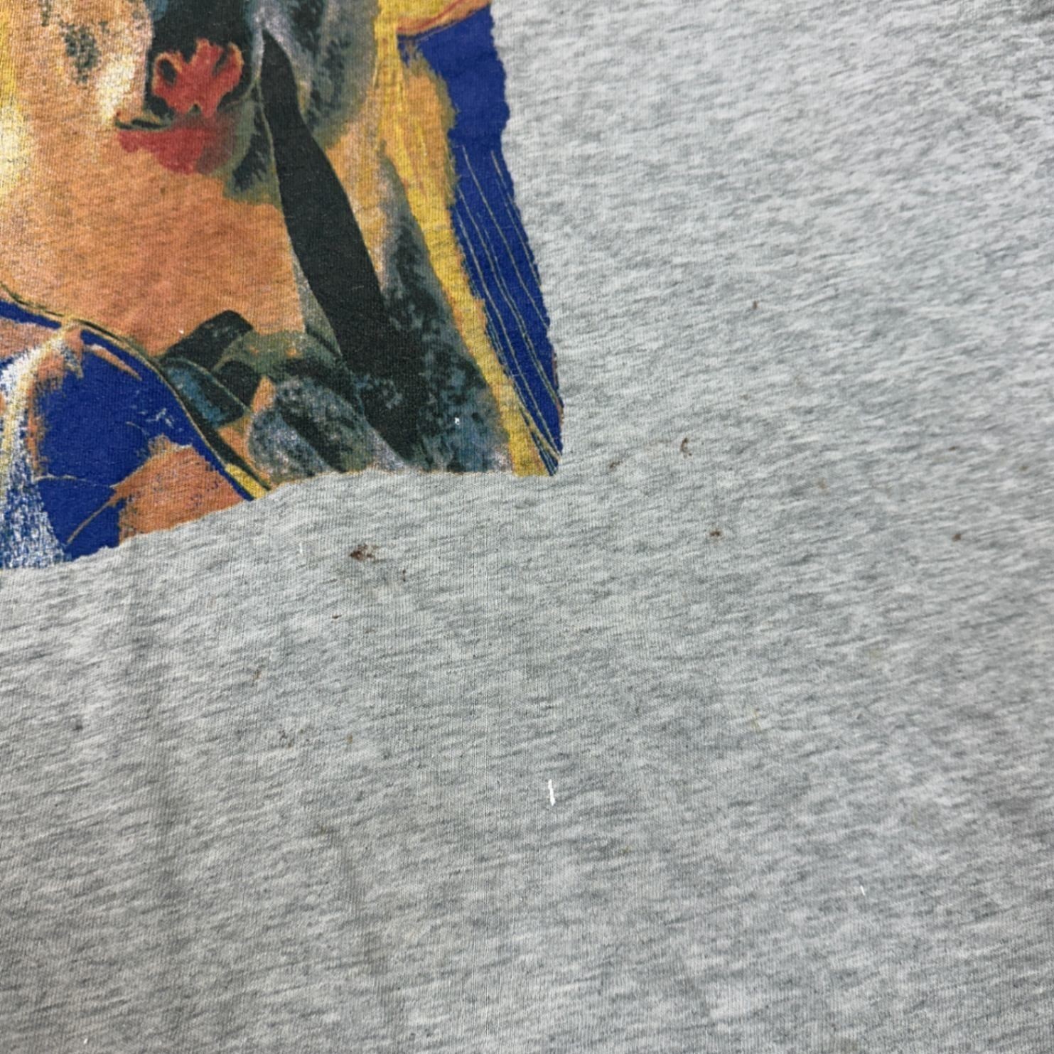 Foster’s Vintage Koala Discover Australia Graphic T-Shirt Grey Mens Small