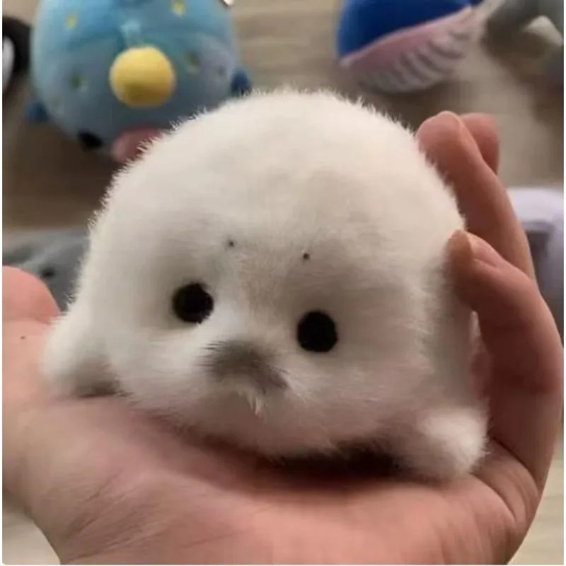 Seal Plush Keychain Bag Charm Cute Marine Animal Pendant Travel Souvenir