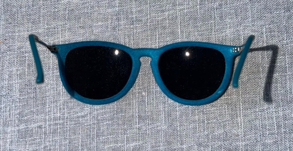 Ray-Ban Erika Velvet sunglasses