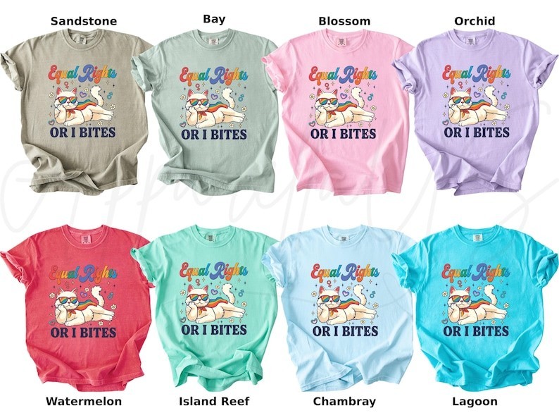 Comfort Colors Pride Month Shirt, Equal Rights Or I Bites Cat Shirt, LGBTQ Shir
