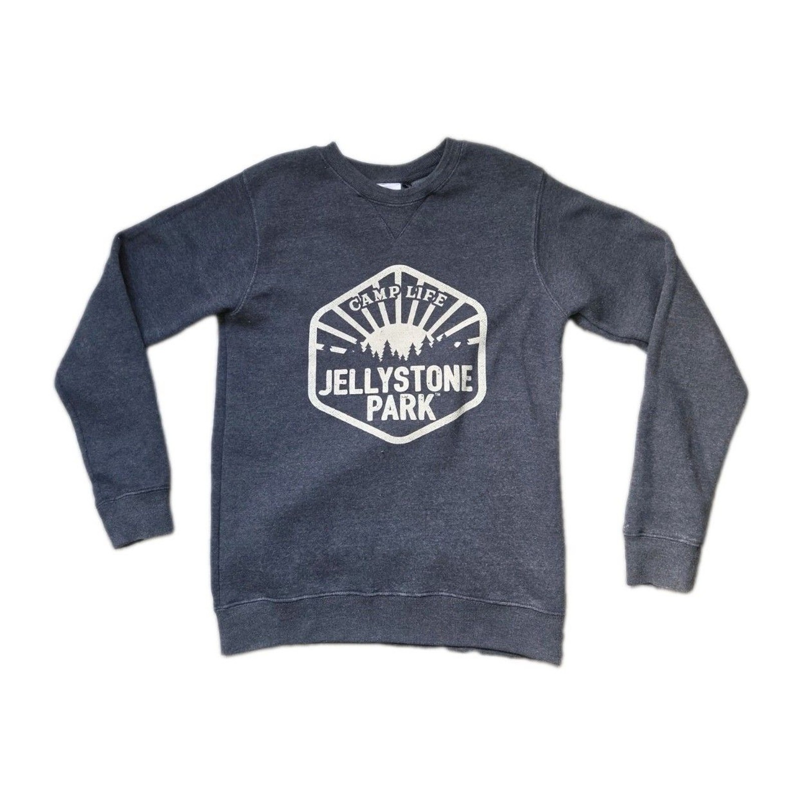Yogi Bear Jellystone Park Camp Life Graphic Sweatshirt Gray Fleece Women’s M GUC
