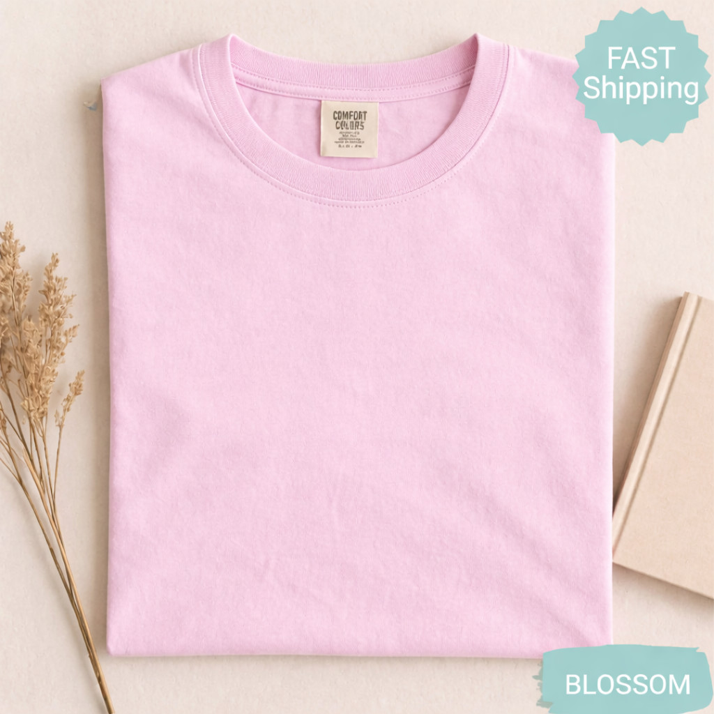 Comfort Colors Chasing Sunsets Shirt Summer Beach Shirt Summer Aesthetic