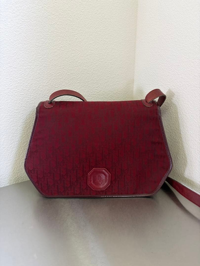 Christian Dior Bag Trotter Shoulder rh55980650