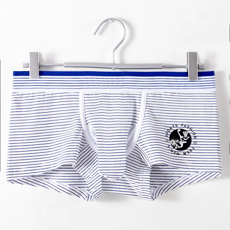 Men’s Underwear Mesh Breathable U Pouch Cotton Panties Elephant Nose Boxer Trunk
