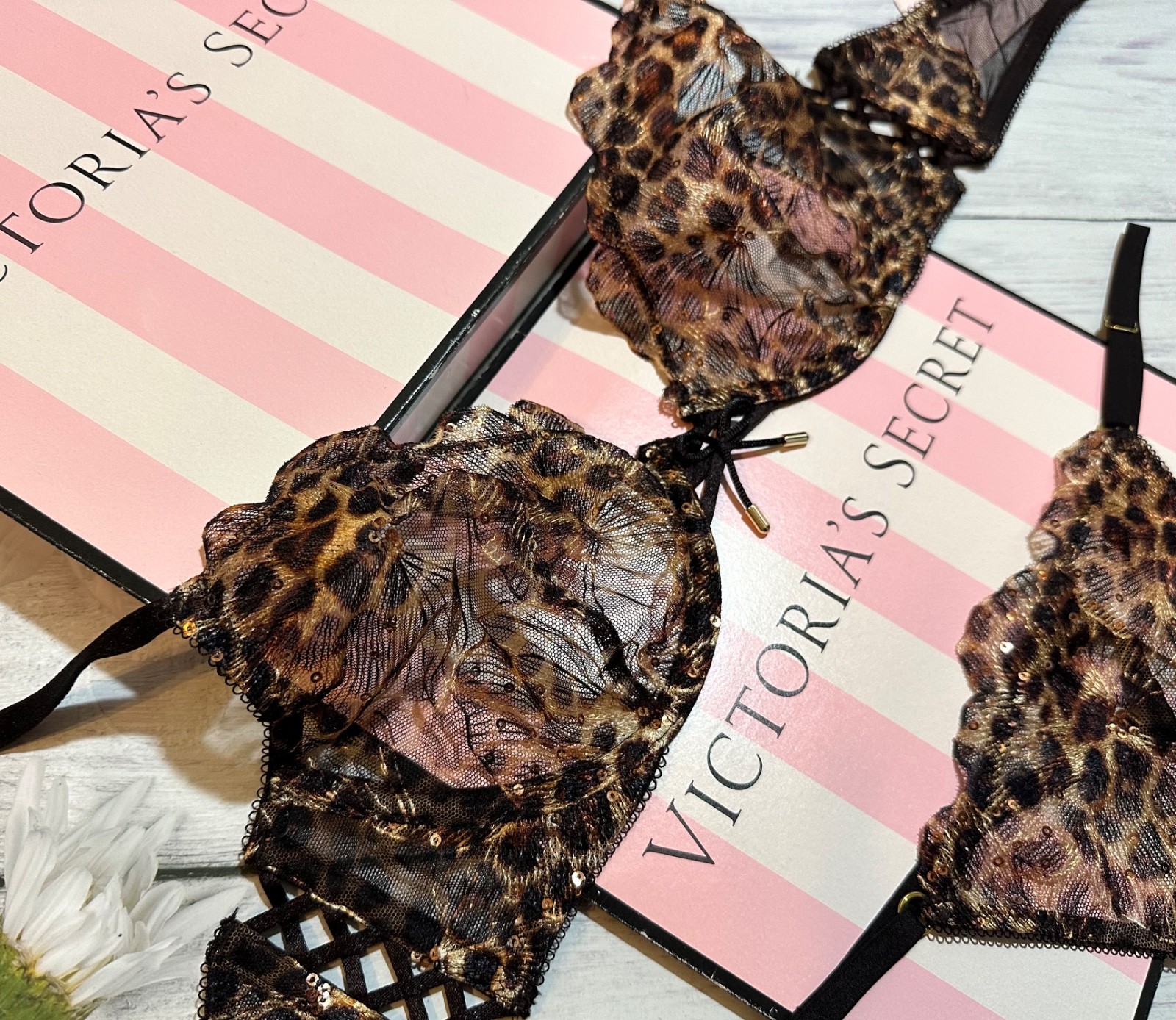 Victoria’s Secret Geo Leo Embroidery Unlined Demi Bra Garter Thong Set