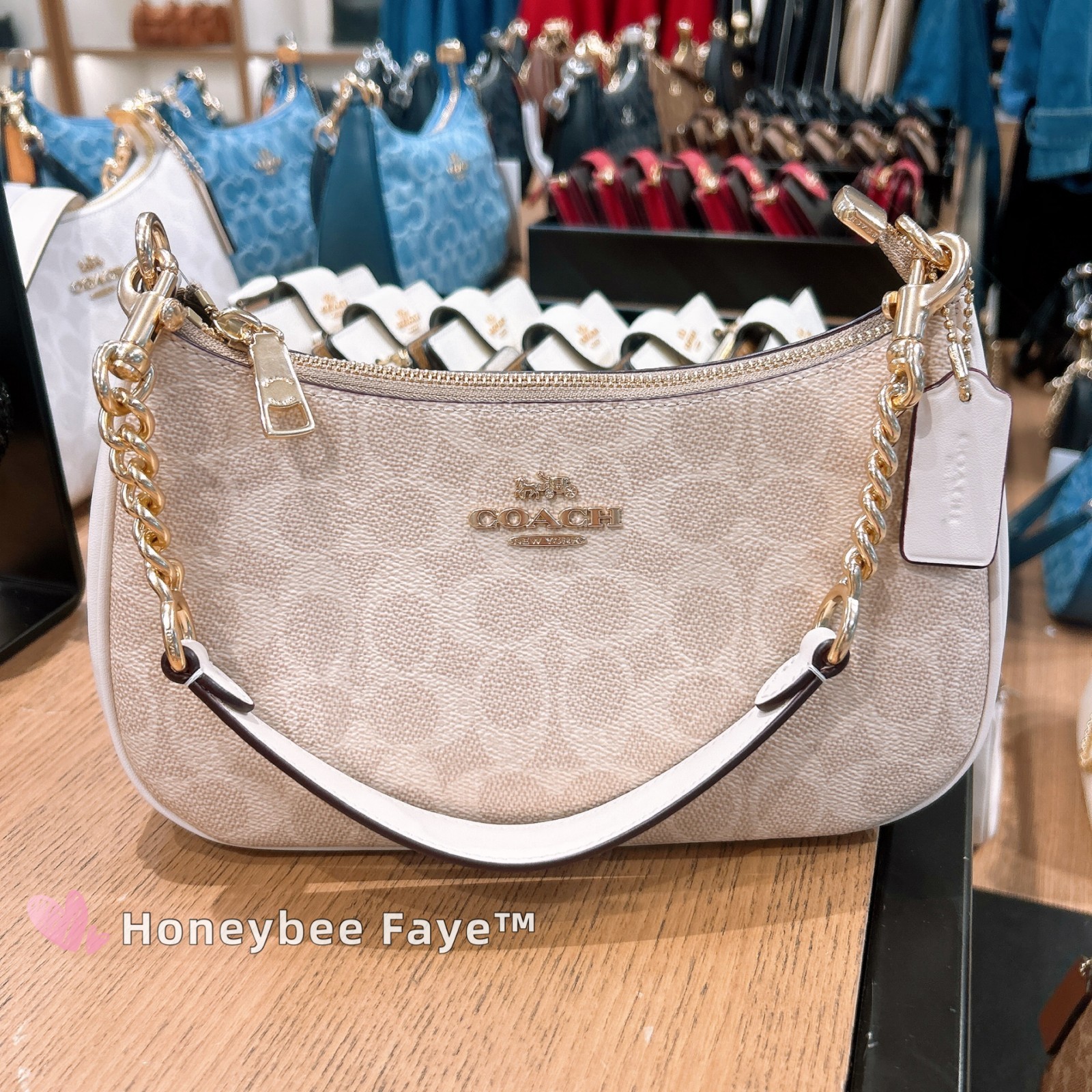 NWT Coach Teri Shoulder Bag In Signature Canvas CV933