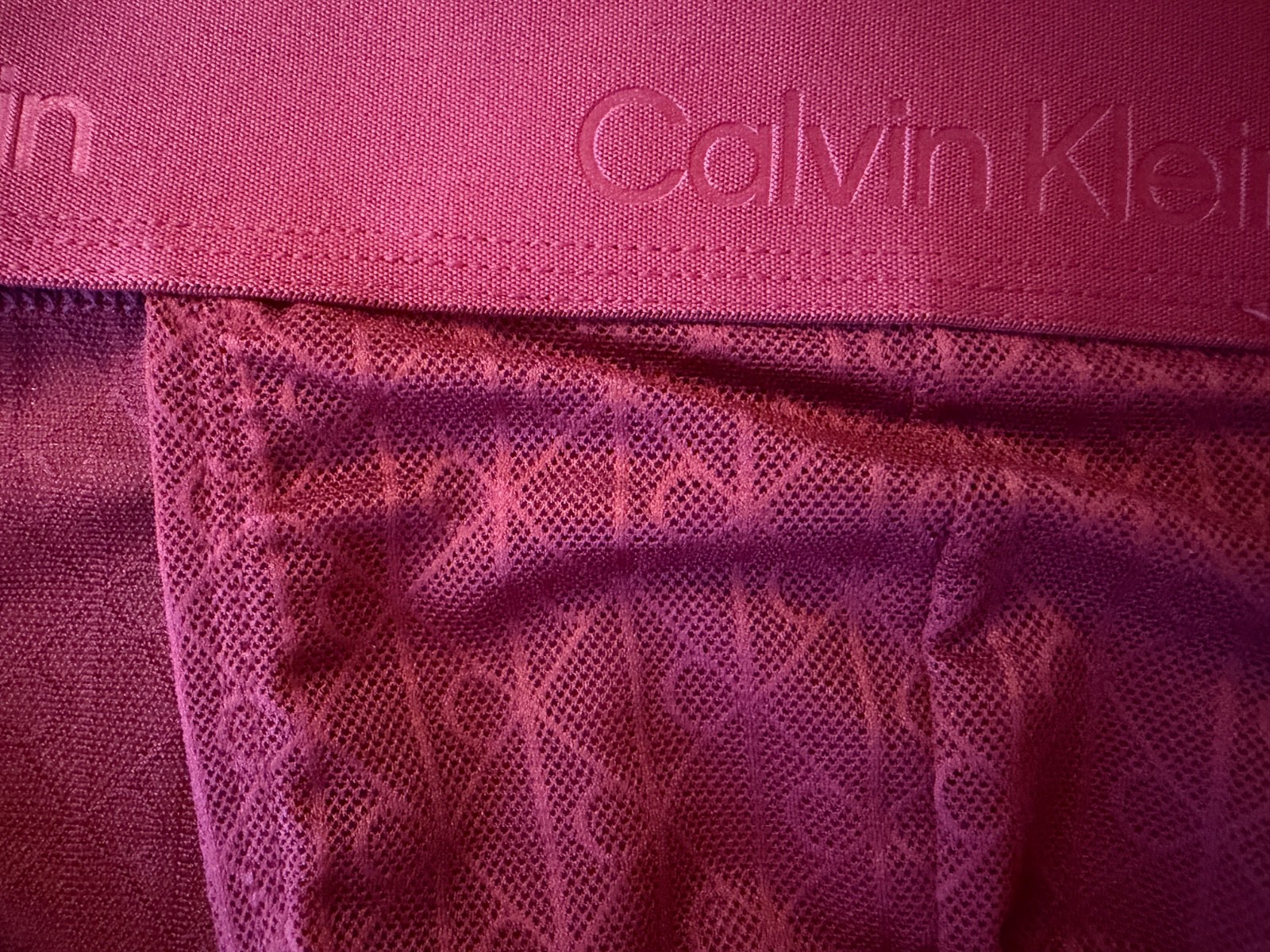 New Calvin Klein Microfibre Lace Sport Brief, Fall Berry, Extra Large