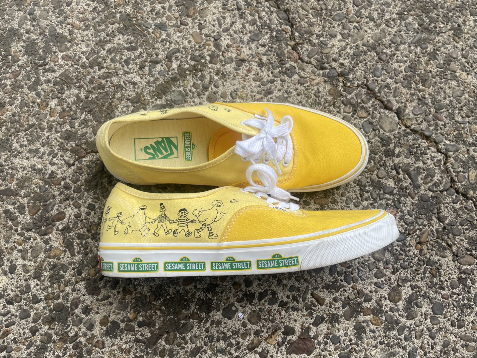RARE VANS X SESAME STREET AUTHENTIC MEN’S SZ 11 SHOES VN0009PVYLW1