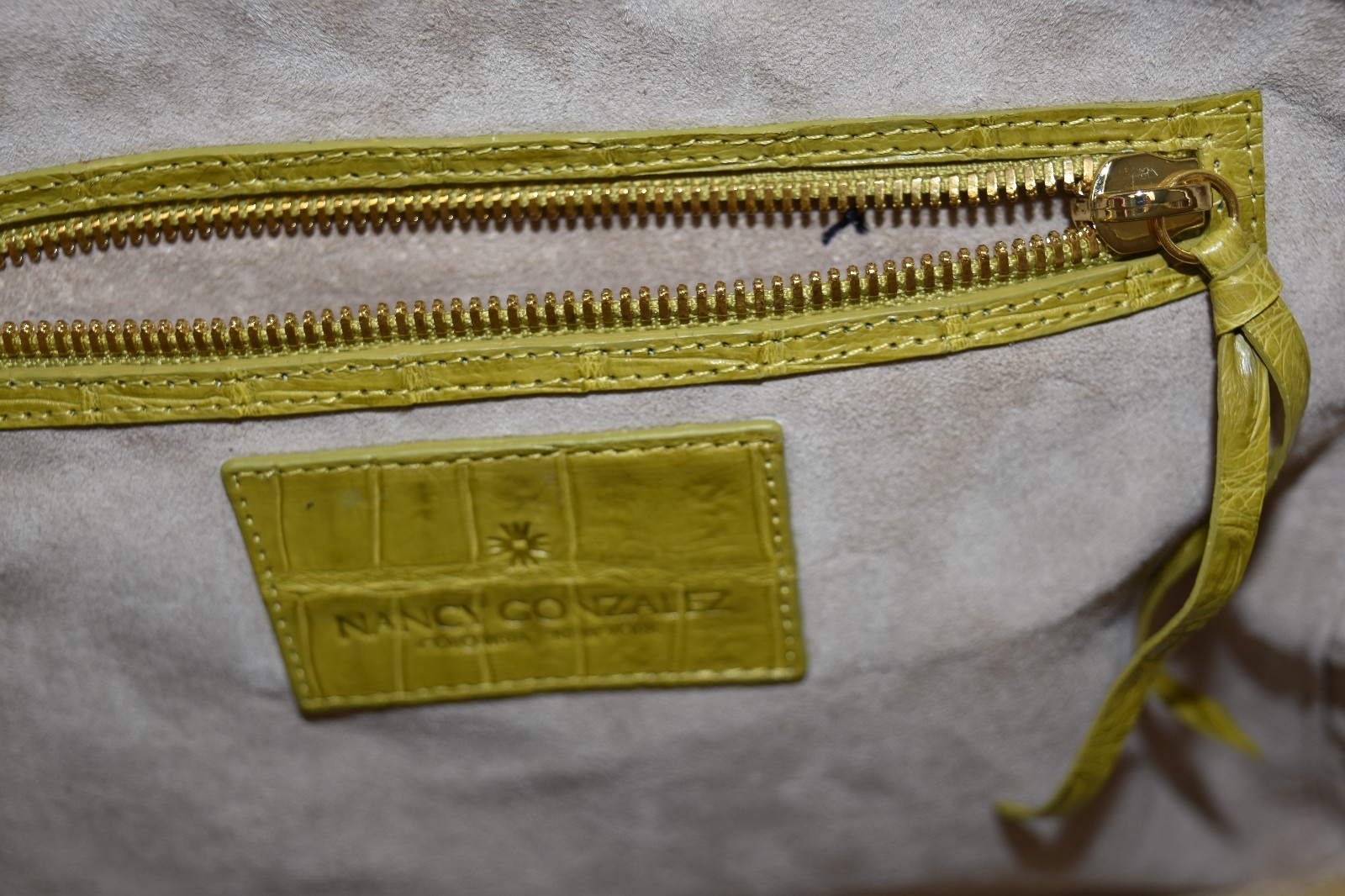$3600 NEW Nancy Gonzalez MATTE CROCODILE Dome Satchel Bag PEA Green Handbag Tote