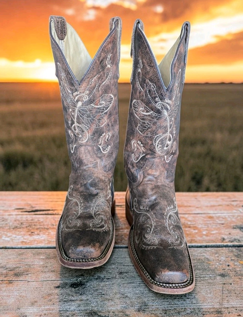 Circle G Women’s 10 M Dragonfly Embroidered Cowgirl Boot – Square Toe – L5079