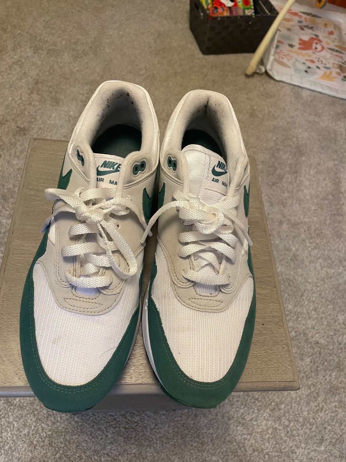 Size 11.5 – Nike Air Max 1 Evergreen
