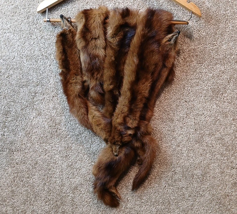 KOLINSKY 5 Pelts Boa, 40” Inches, Vintage Russian Fur Pelt Scarf
