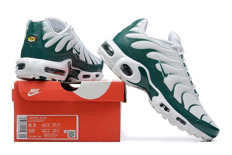 Nike Air max tn concept white green