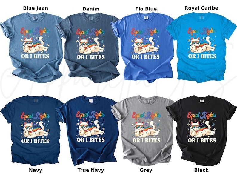 Comfort Colors Pride Month Shirt, Equal Rights Or I Bites Cat Shirt, LGBTQ Shir