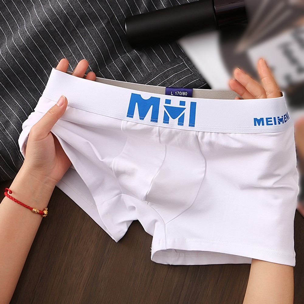 Men Briefs Underpants All Seasons Cotton Fashion M-3XL Trunks Breathable