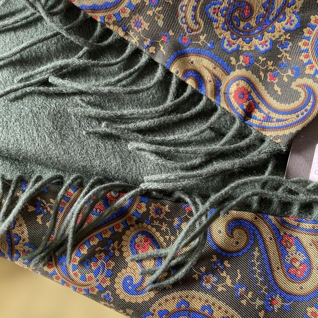 Etro Reversible Cashmere Silk Scarf 12.6×50.4in Unisex Mos Green