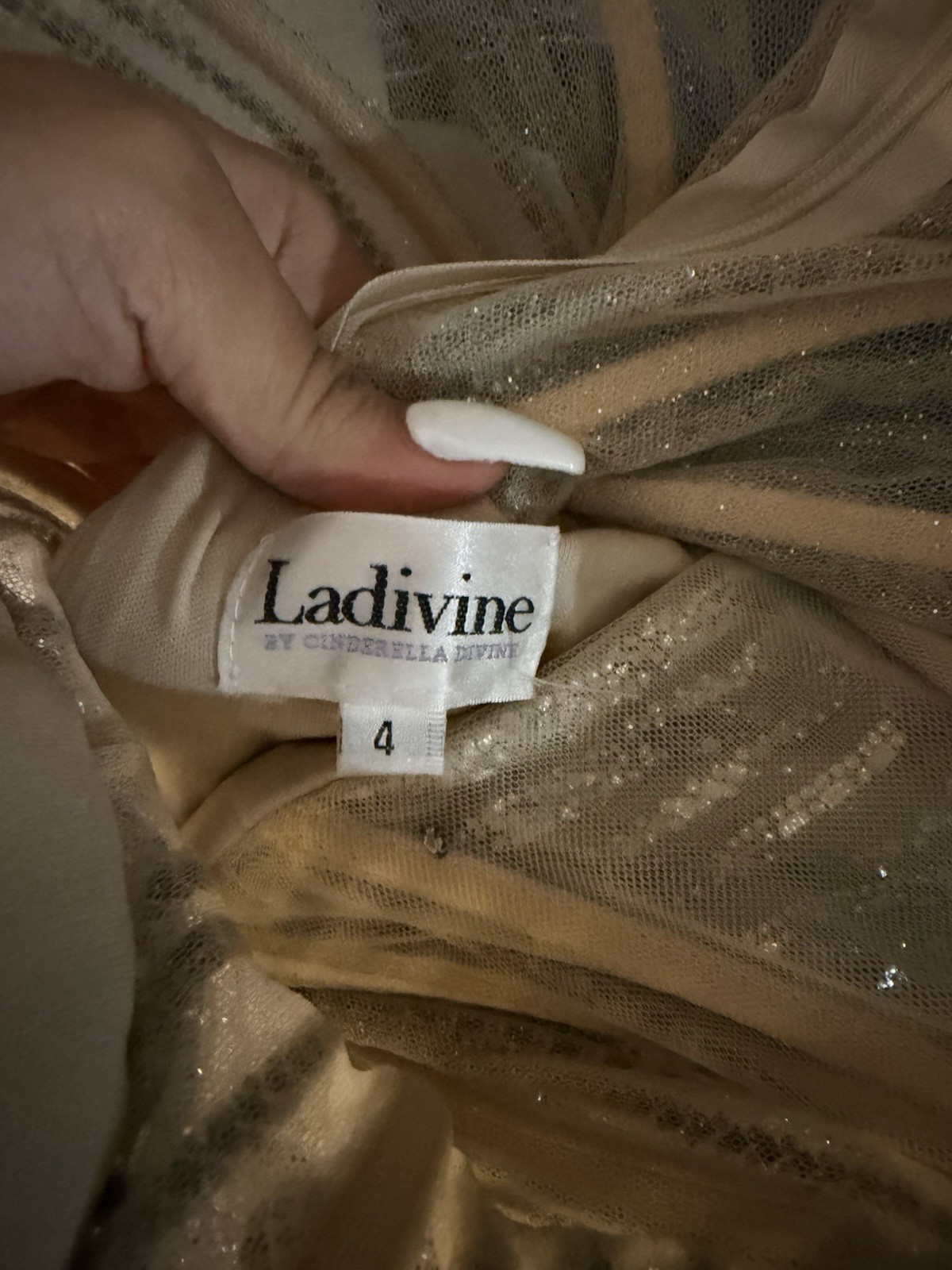 Ladivine by Cinderella Divine dress silver on nude size 4