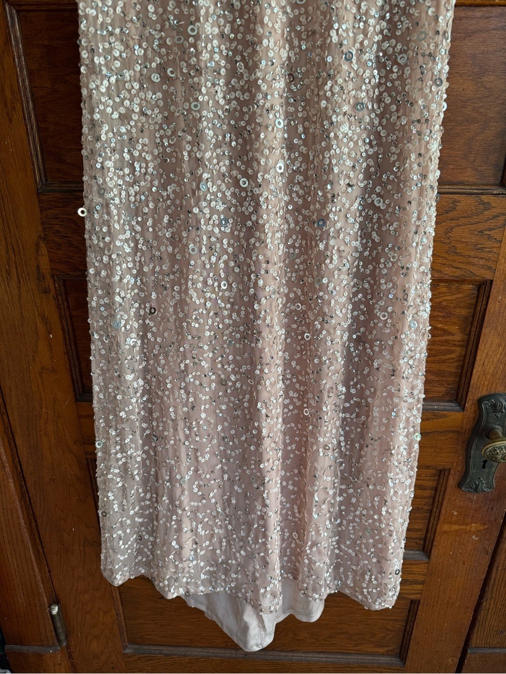 ADRIANNA PAPELL Scoop Back Sequin Maxi Gown Short Sleeve Full Length Blush Nude