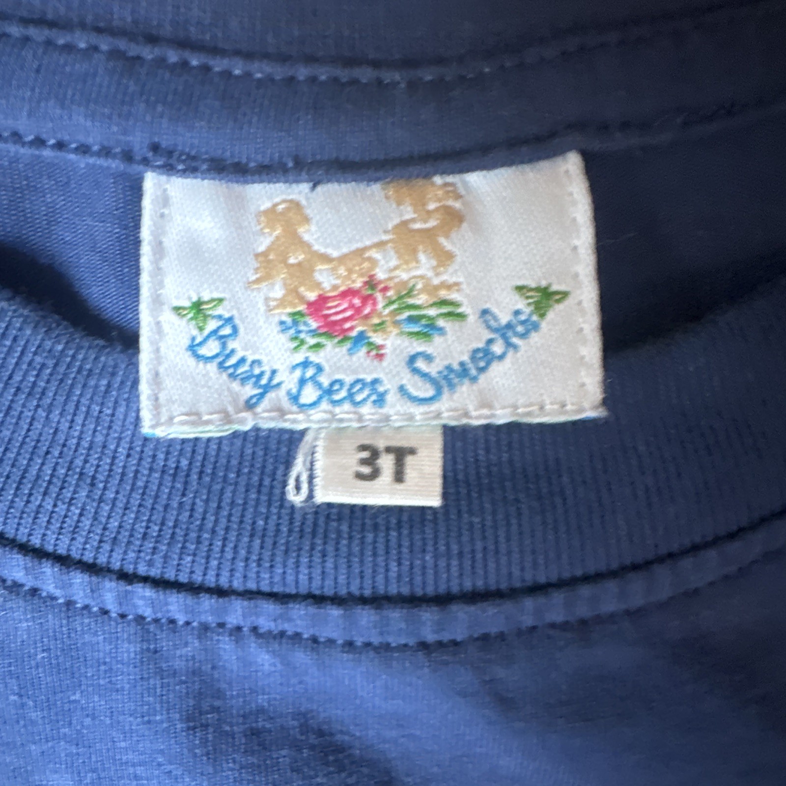 Busy Bee Smocks Embroidered Blue Shirt & Plaid Shorts 2-Piece Set, 3T