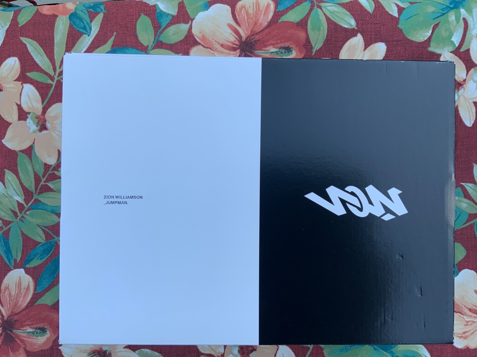 Size 13 – Air Jordan Zion 1 Noah