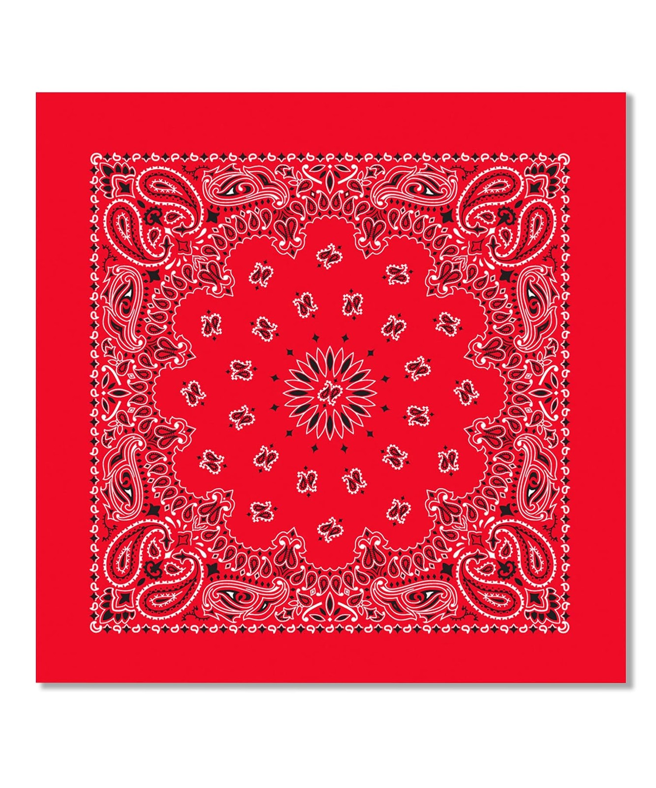 Bycc Bynn Large 27×27 Inch Bandana – 4 Pack 100% Cotton Bandanas for Men & Women