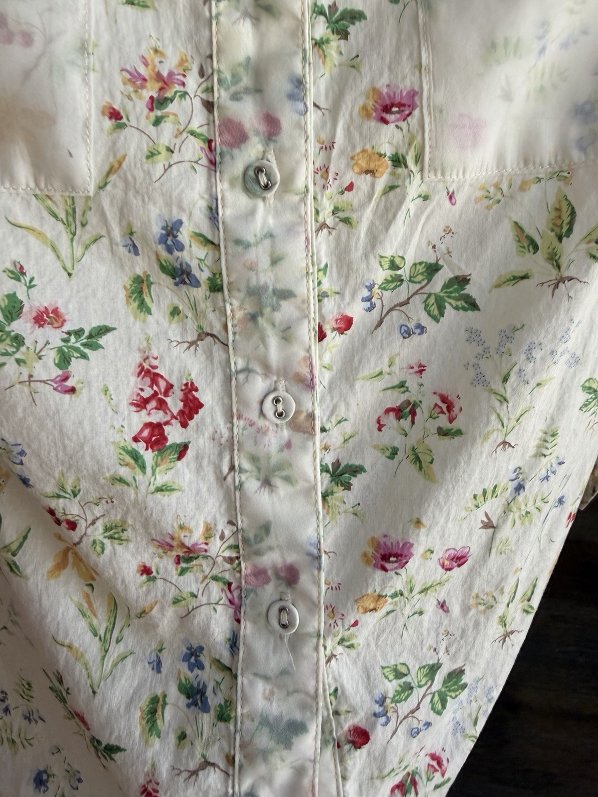 Daphnea Paris Floral Button Front Blouse Women’s Medium Cottagecore Botanical