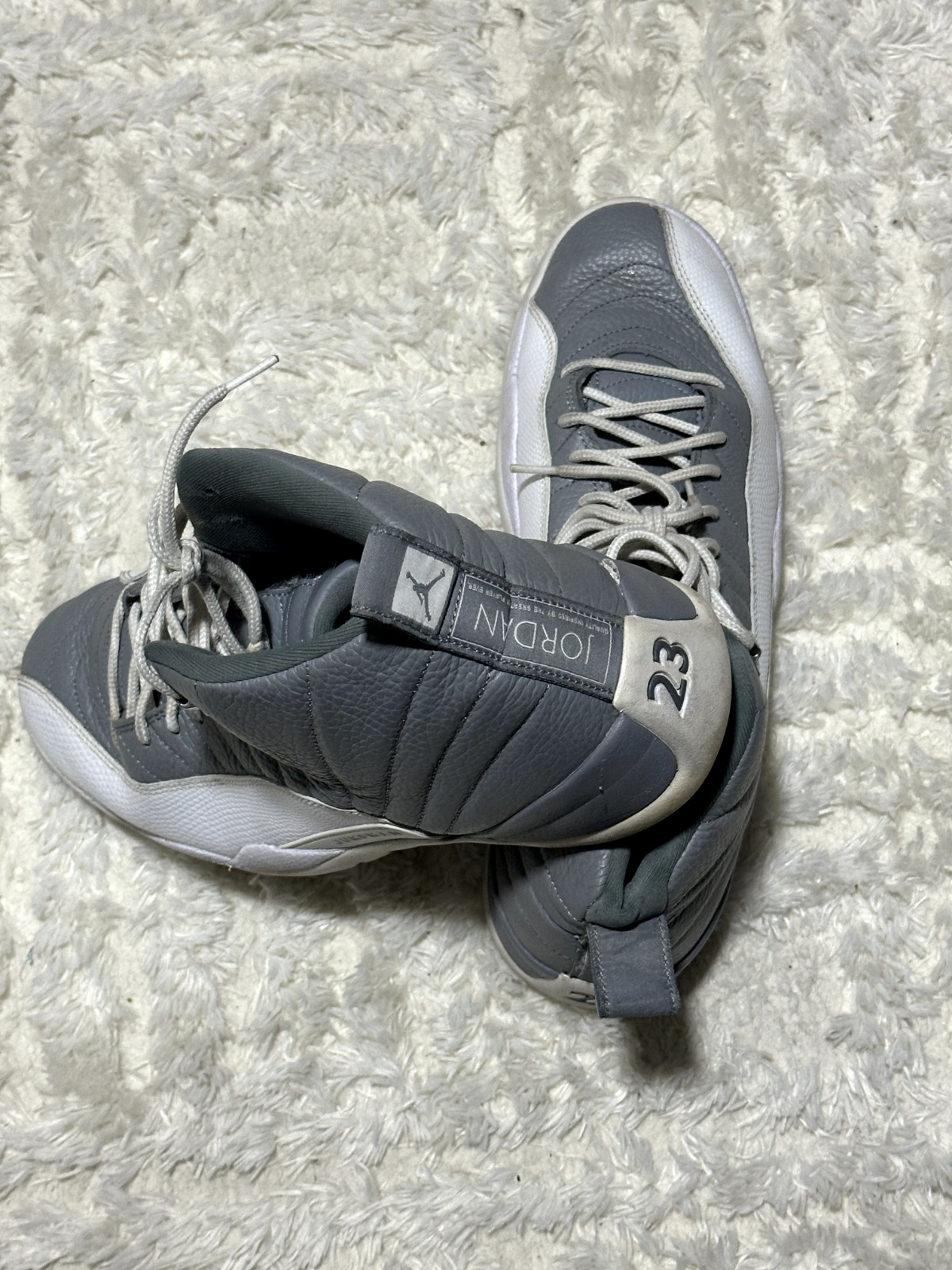 Size 14 – Jordan 12 Stealth Nike