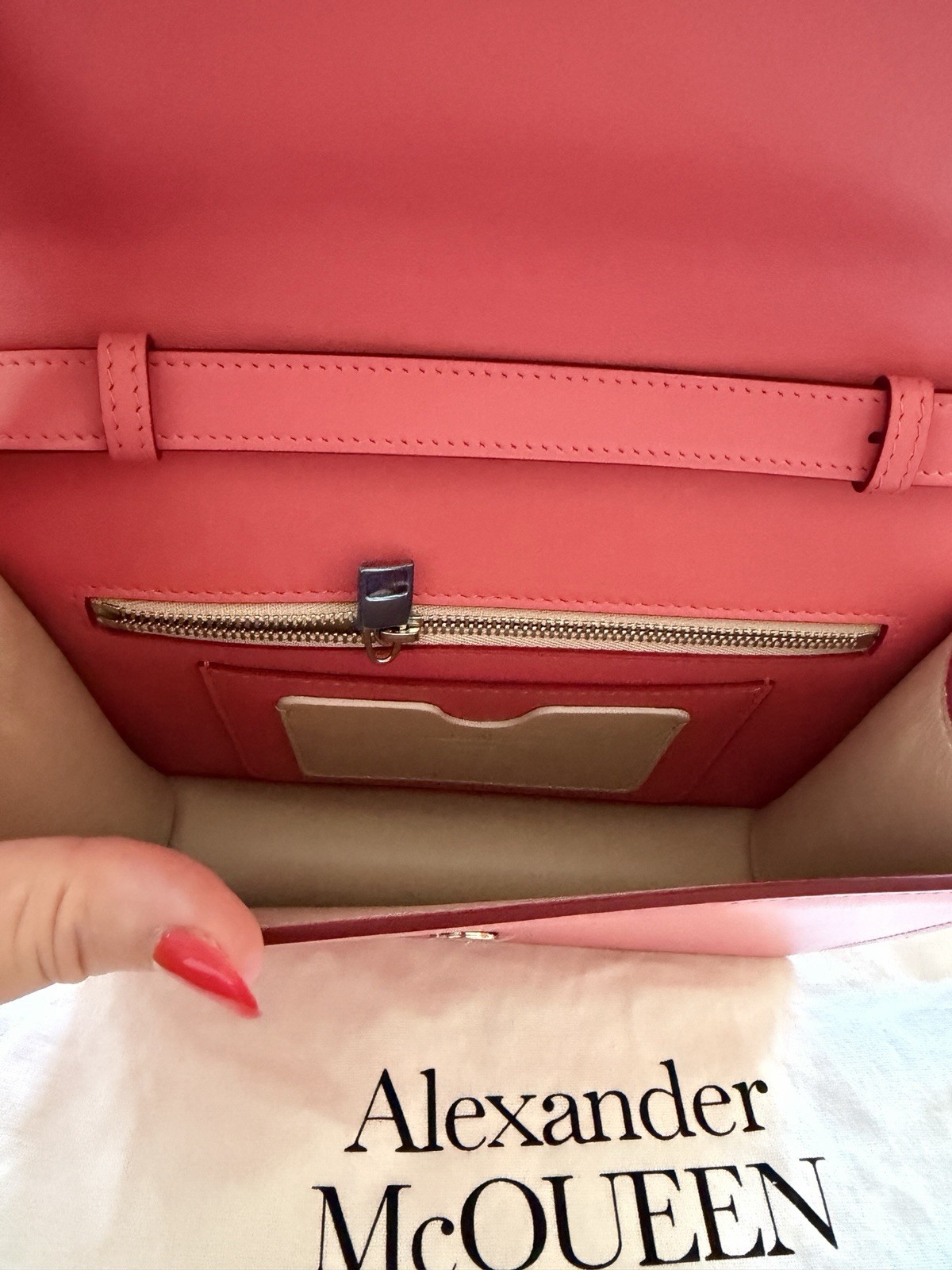 NWT Alexander McQueen Coral Crossbody Silver Hardware Magnetic Closure Dust Bag