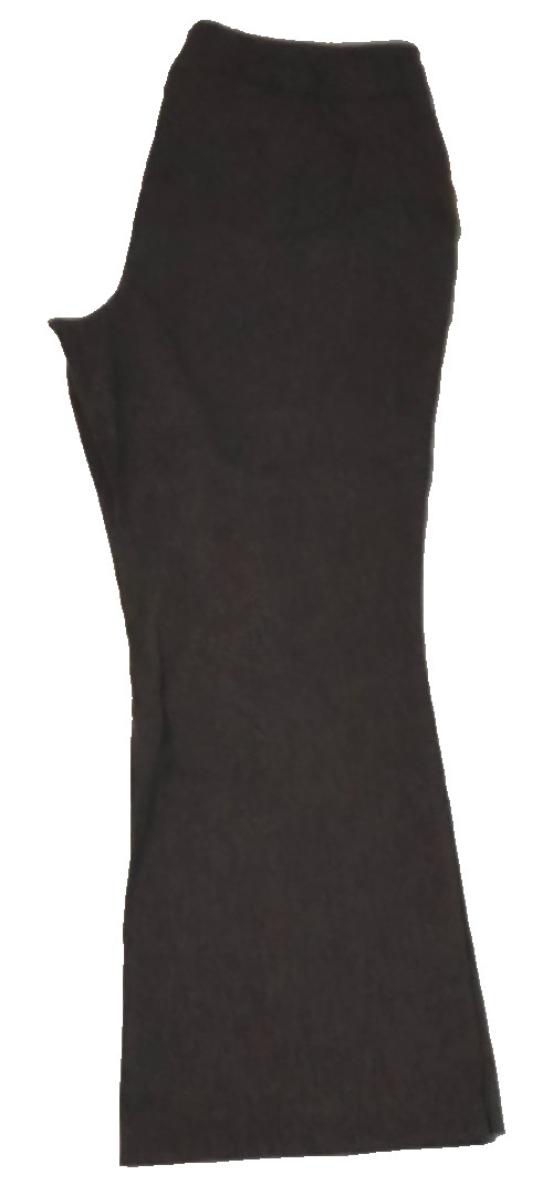 NWT Westbound Park Ave Fit Slim FX Gray Pull-On Pants Women’s 20W Short