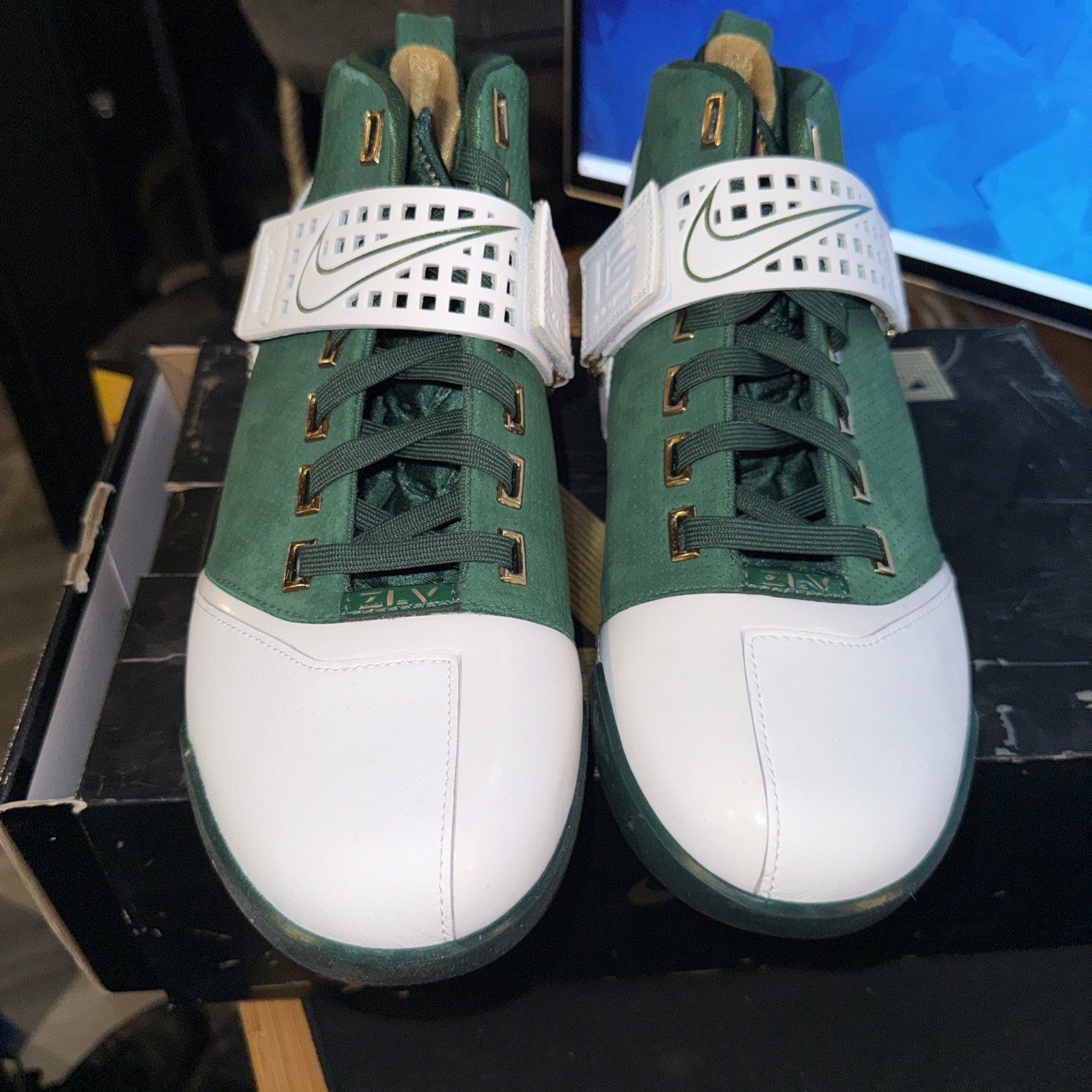 Size 10 – Nike Zoom LeBron 5 Birthday