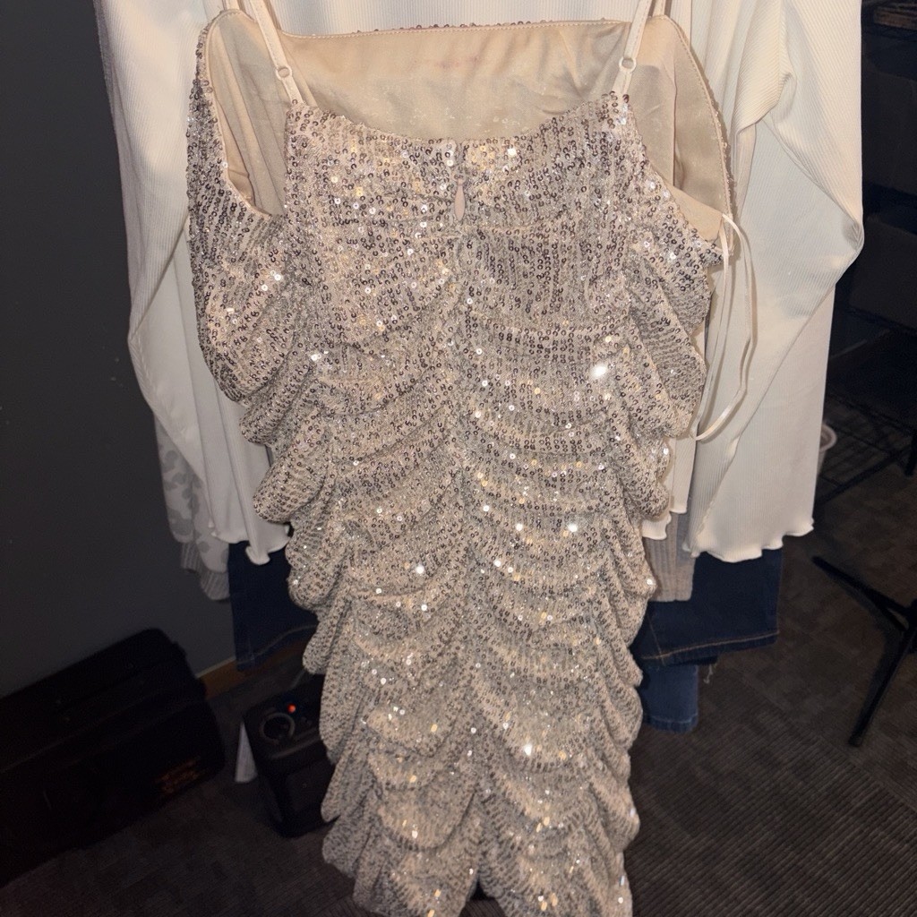 Terra Cotta Gorge Silver Sequin Off Shoulder Spaghetti Strap Mini Dress L