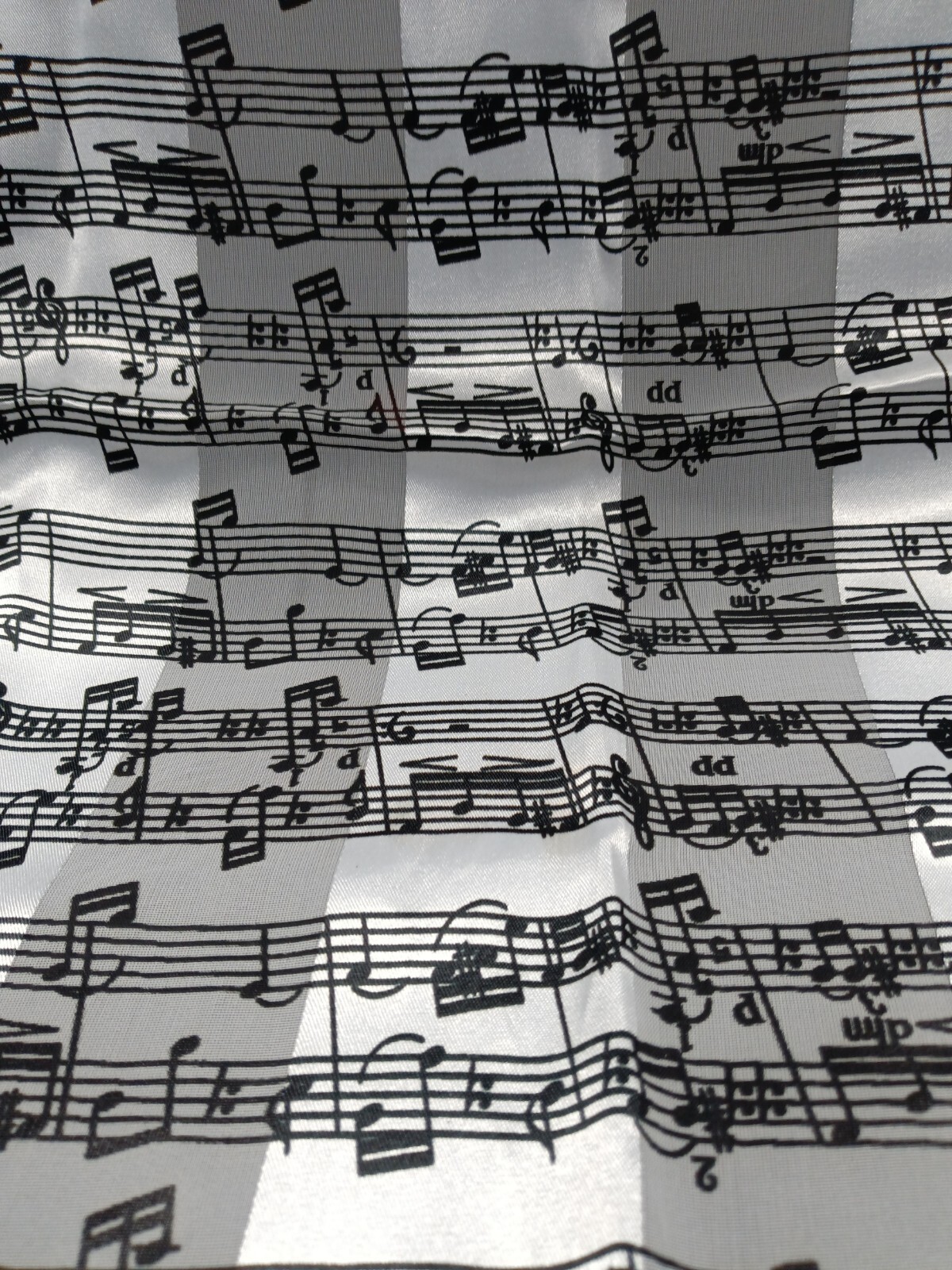 Lovely Neck Scarf, Feels Like Silk. On Label: RN# 110455; Hand Wash, Line Dry.