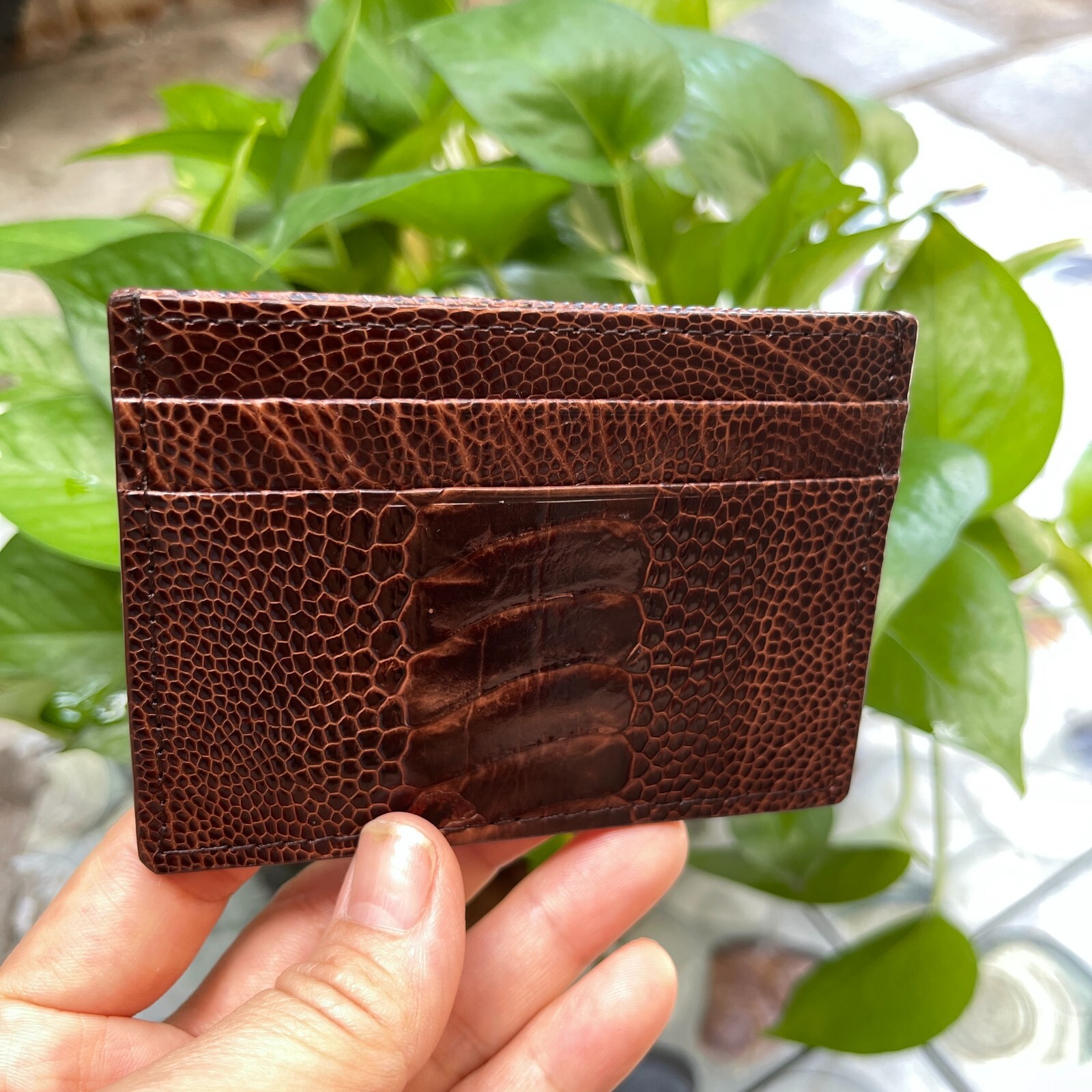 BrownGENUINE OSTRICH LEATHER SKIN CREDIT CARD HOLDER/ WALLET CARD HOLDER FOR MEN