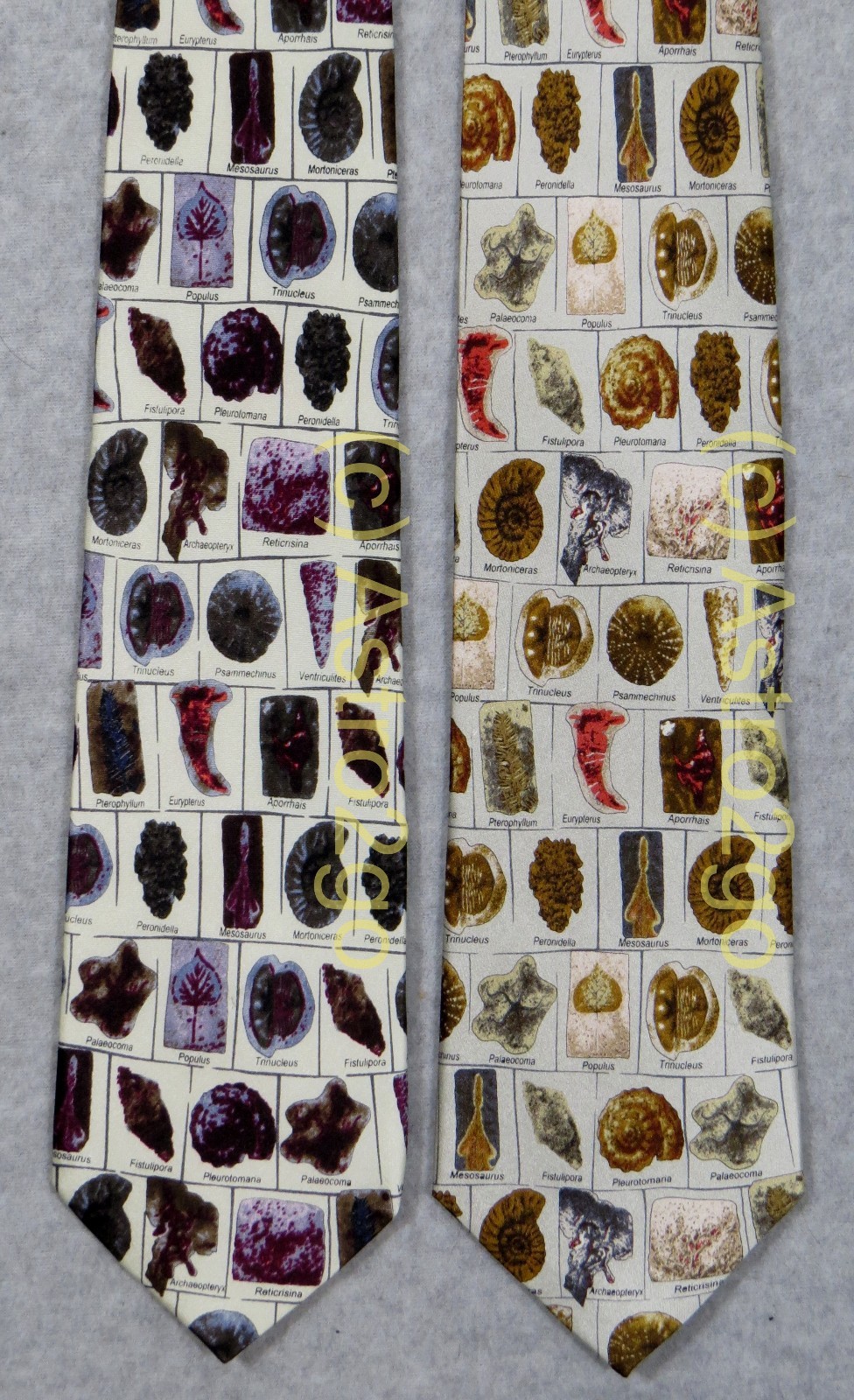 FOSSILS W/ NAMES PALEONTOLOGY GEOLOGY SCIENCE Museum Artifacts Silk Necktie NEW!