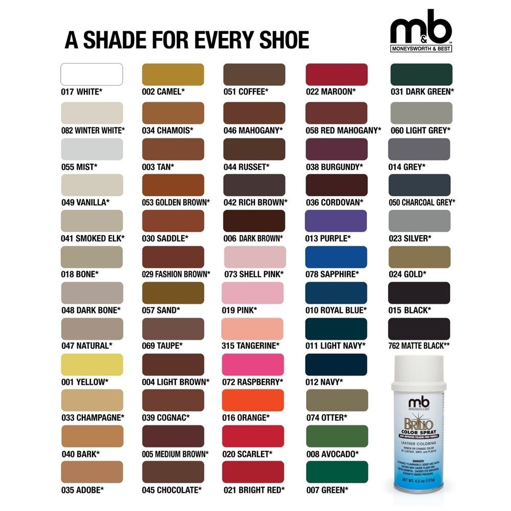 SHOE COLOR SPRAY 4.5oz – ASSORTED COLORS