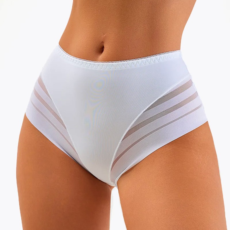 5 Pack Lot Sexy Womens See Through Sheer Panties Underwear High Rise Lingeries