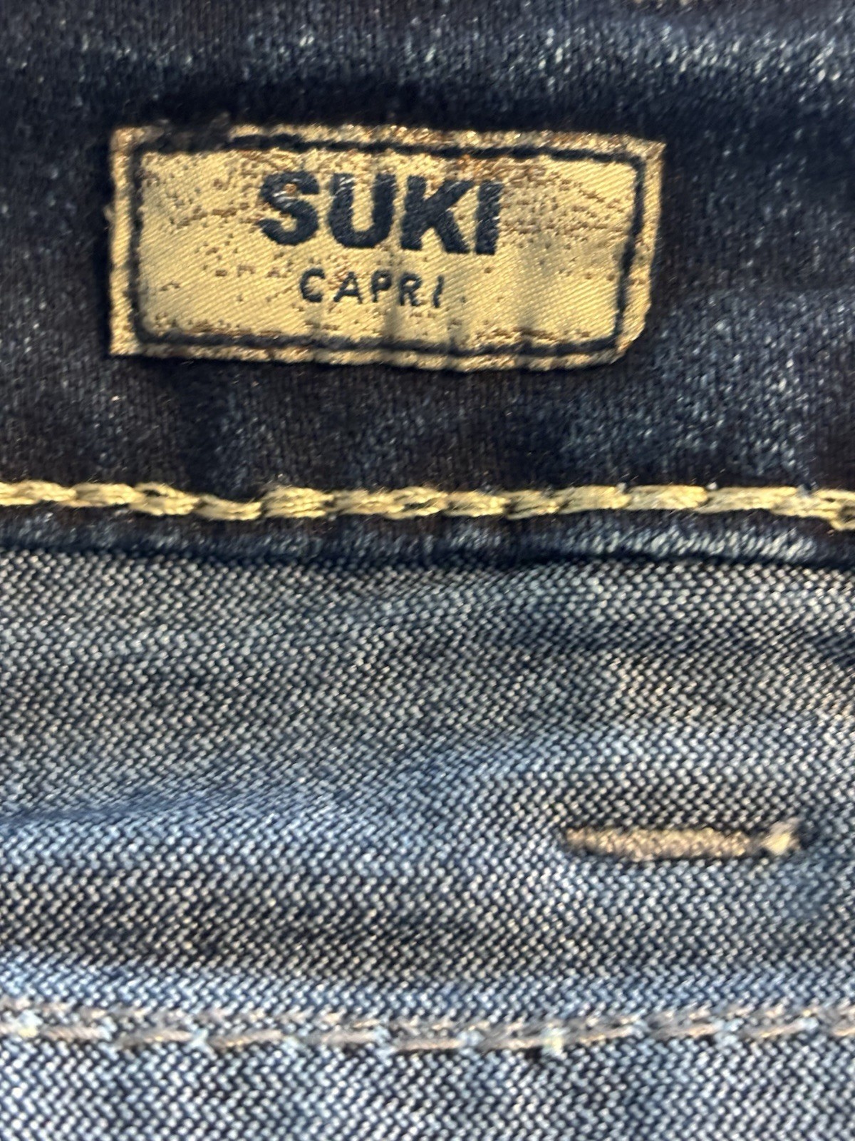 Silver Jeans Co Suki Capri Plus Size 20 Curvy Mid Rise Dark Wash L9996SAF334