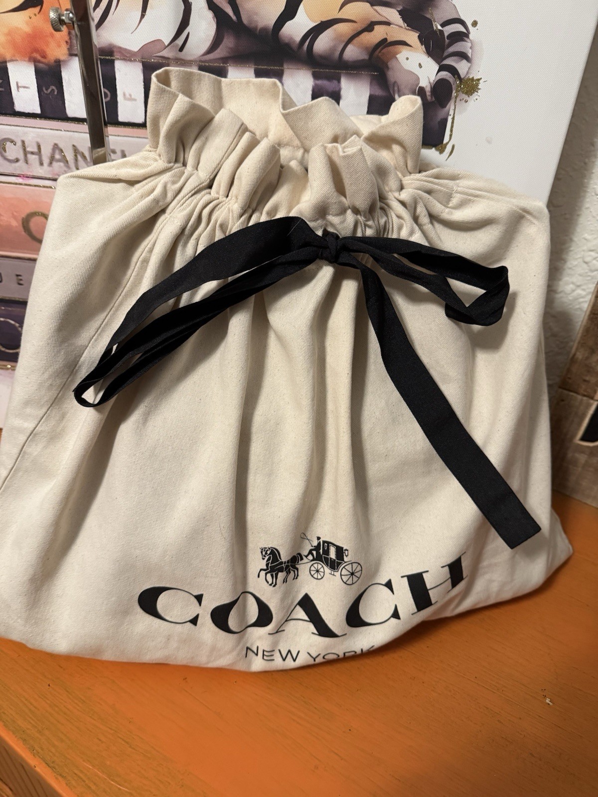 Coach Poppy Liquid Gloss 2 Way Bag with Dustbag