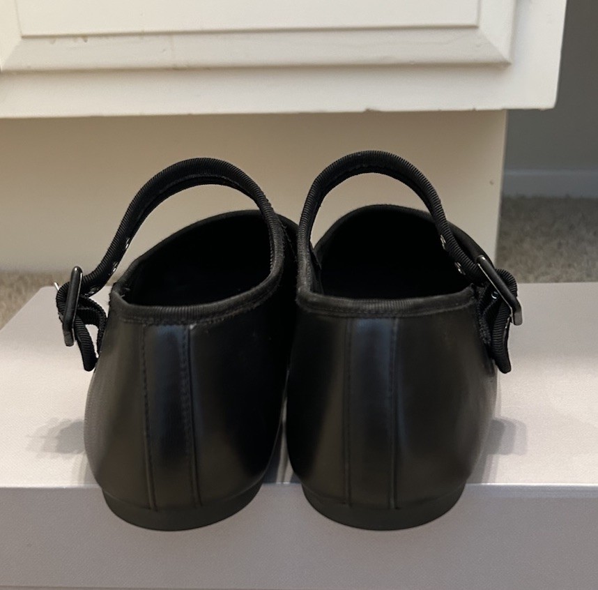 Everlane ~ The Day Buckle Mary Jane Flats Black Leather 10.5 M w.Box Excellent