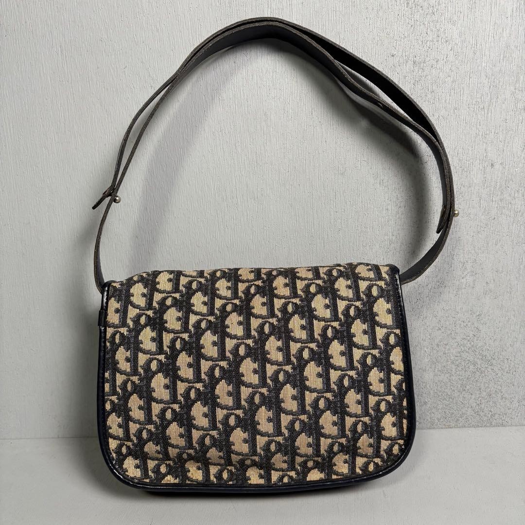 Christian Dior Bag handbag semi shoulder bag trotter
