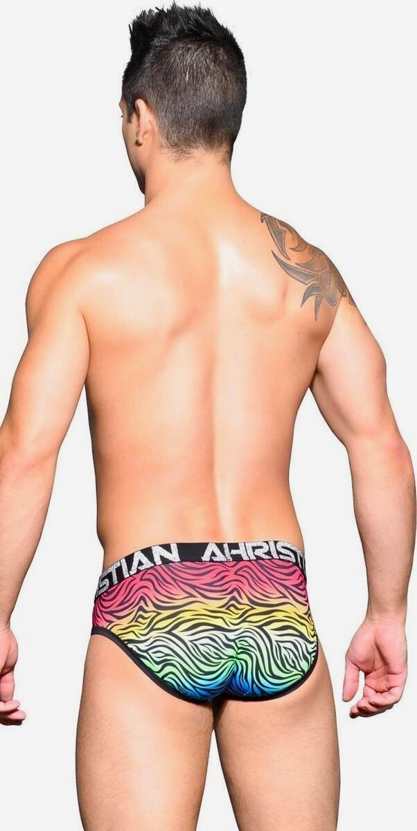 Andrew Christian Pride Zebra Brief – 91795 – Small, Medium & Large