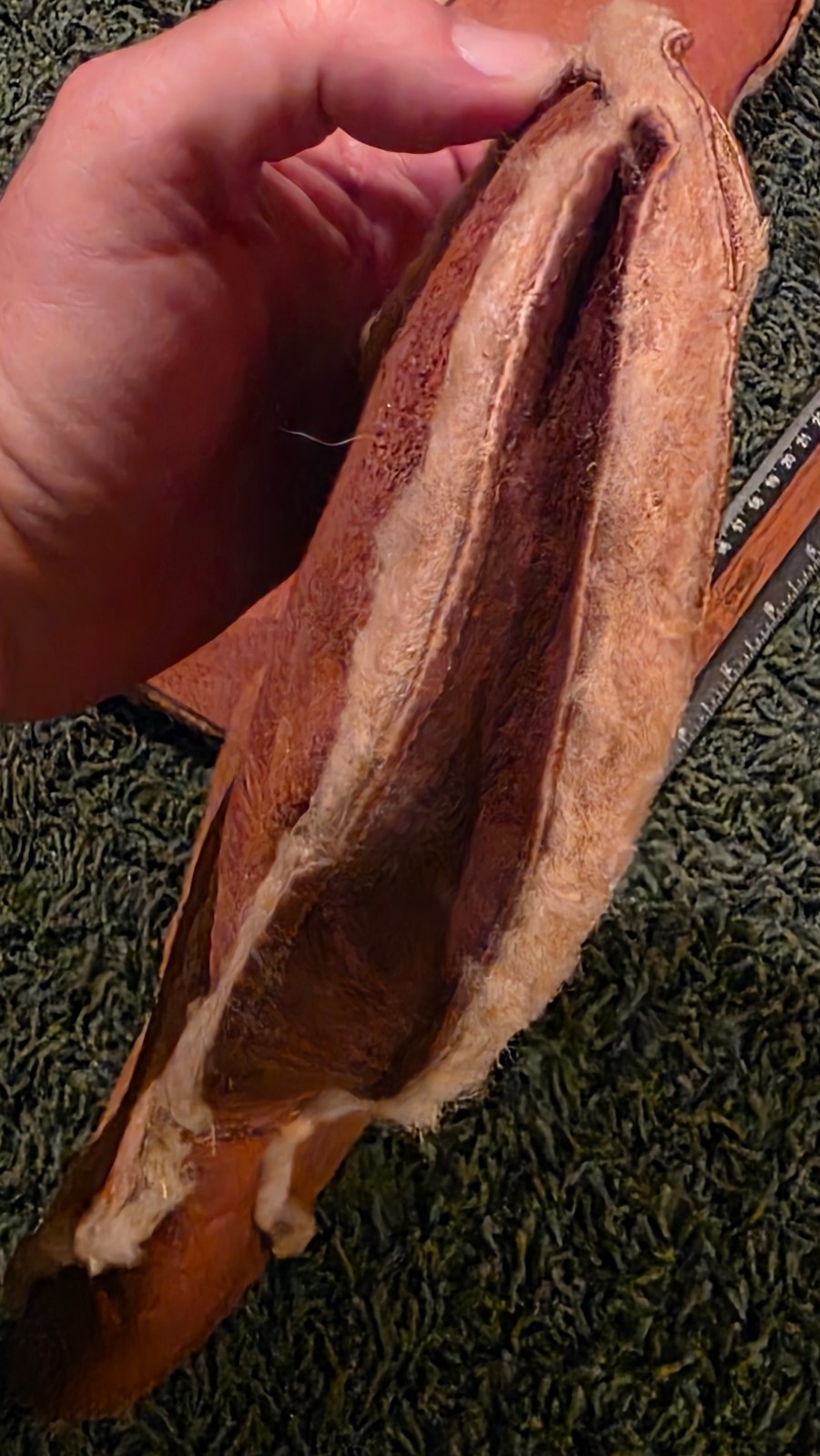 Orvis XL 15 1/2″ long Fleece Lined Leather Mittens