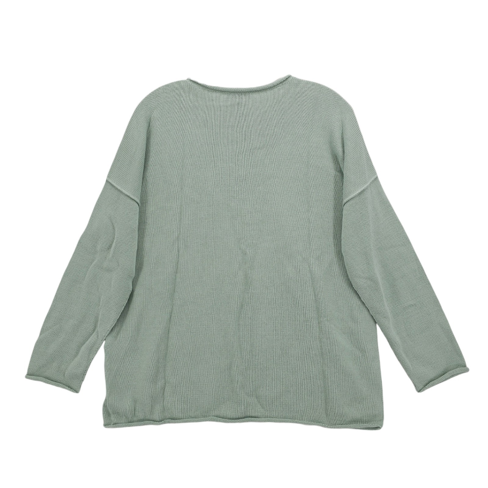NWT EILEEN FISHER Boxy Pullover Absinthe Pale Green Rolled Hems PETITE LARGE