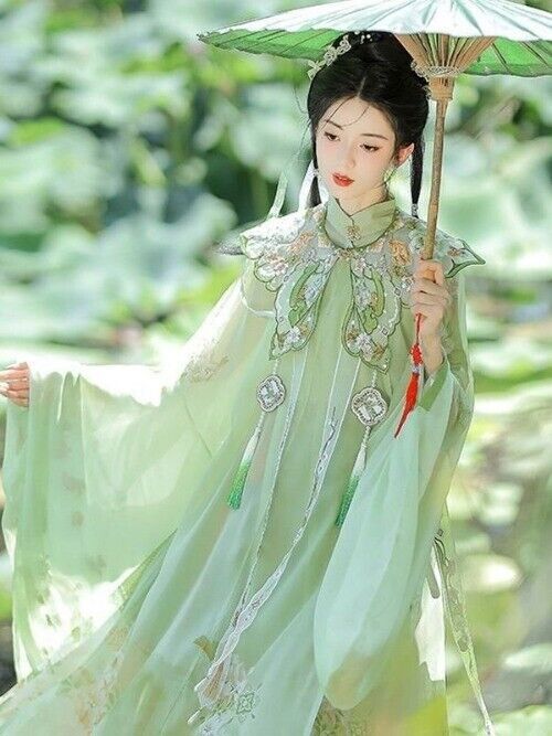 Chinese Hanfu Ming Dynasty Cloud Shoulder Stand Collar Long Shirt Pleated Dress